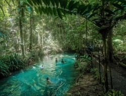 Rekomendasi Tempat Wisata Wajib di Tambrauw, Papua Barat