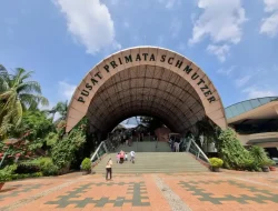 Wisata Malam Ragunan Buka Hari Ini, Catat Jadwal dan Harga Tiketnya